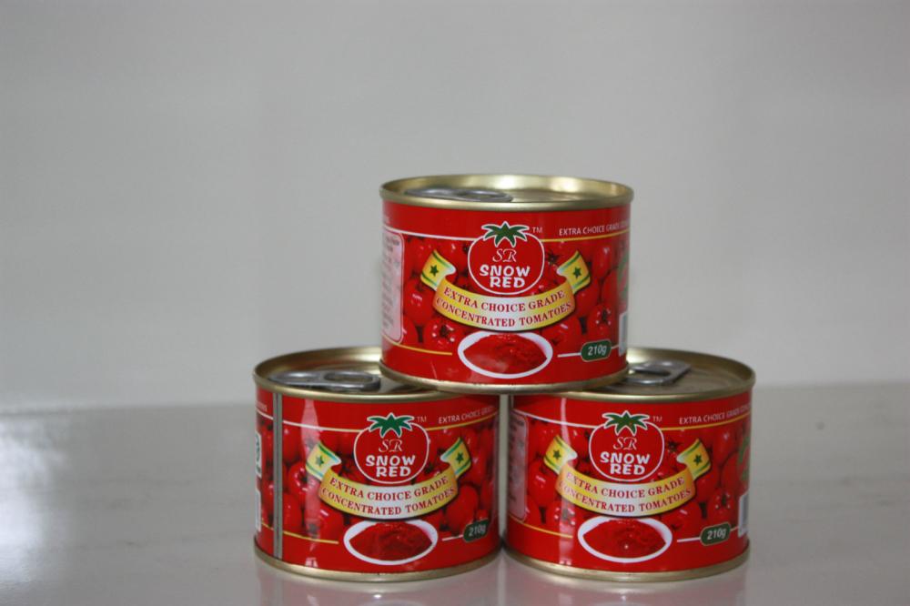番茄酱 210g×48 - EO/HO - tomatopaste1-23