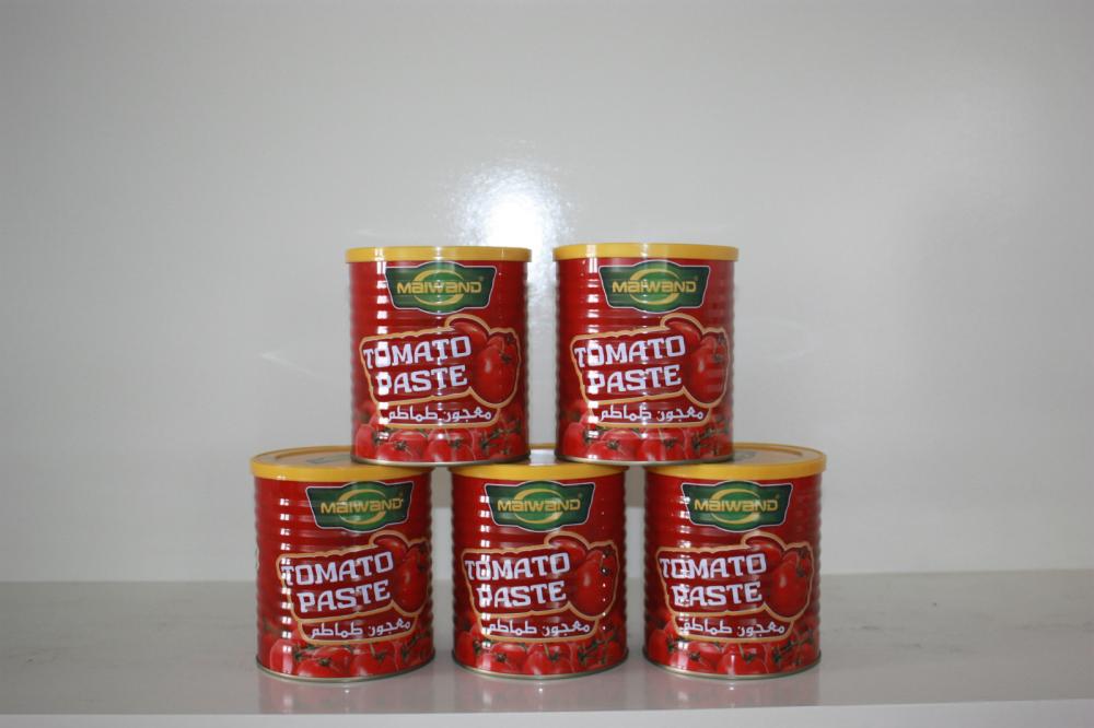番茄酱 140gx50 - 易开盖 - tomatopaste1-27